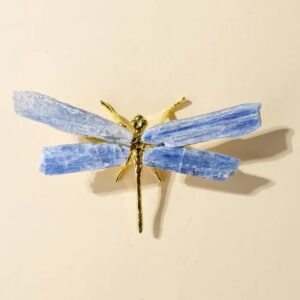 Libélula de piedra