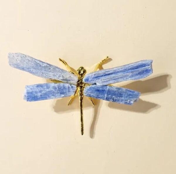 Libélula de piedra