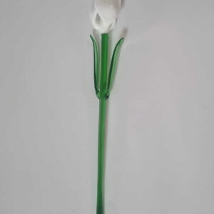 Tulipán blanco en vidrio soplado