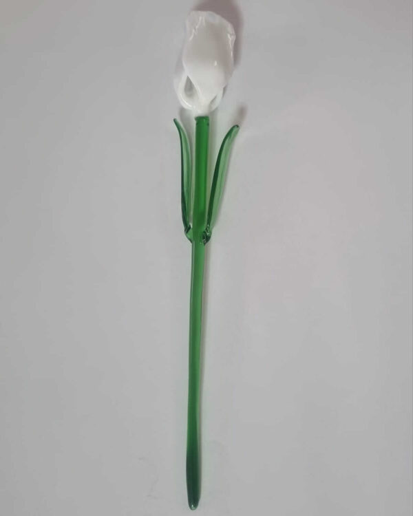 Tulipán blanco en vidrio soplado