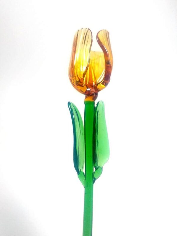 Tulipán vidrio soplado